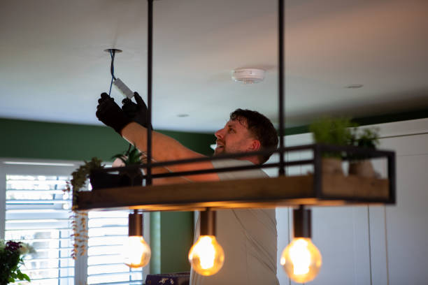 Best Electric Panel Repair  in Black Diamond, WA